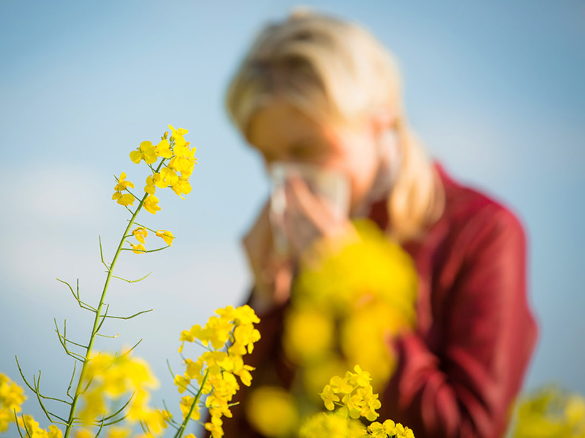 Allergy, Asthma, & Immunology Granger Medical Clinic